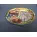 2 Serving Plates Green, Peach, Blue 12 x 8 7.5 x5.5