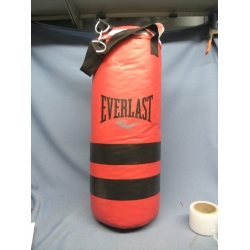 Everlast Youth Punching Heavy Bag 35lb Gloves L/XL