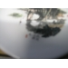 Lot of 2 Asian Plates