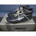 Thinsulate Alpina Advanced Track Skiing Touring Women's Shoes
