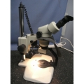 Motic SMZ 10X - 40X Greenogh Zoom Stereo Microscope