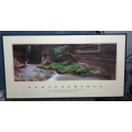 Successories Lifescapes "Perseverance" Photo Motivational Print