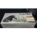 ImageTone C7115A Toner Cartridge