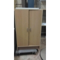 2 Door Vertical Storage Cabinet