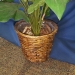 Round Pot Silk Plant