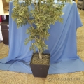 Silk Plant w/ Metal Square Pot