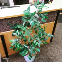 Artificial Silk Plant w/ White Plastic Base