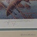 Harry C. Adamson Ducks Unlimited 1989 Lithograph and Stamp