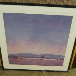 Neil Waldman Framed Wall Art "Arizona"