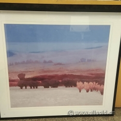 Marcus Bohne Framed Wall Art "In The East Meadows"