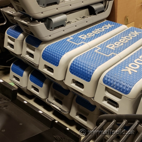 Reebok Professional Deck Workout Bench Allsold Ca Buy Sell