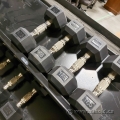 17.5 lb Hampton Dumbbell