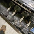 27.5 lb Hampton Dumbbell