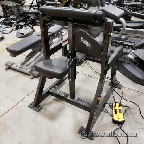 Hammer strength seated arm curl best sale