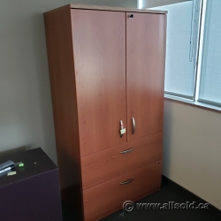 2 Door, 2 Drawer File and Storage Cabinet