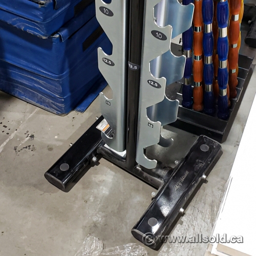 Life fitness 2025 vertical dumbbell rack