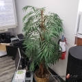 Artificial Silk Potted Plant with Wicker Pot