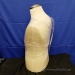 Male Torso Mannequin