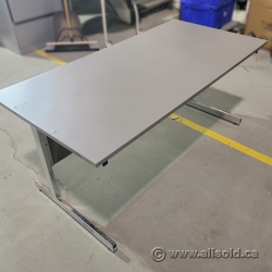 Grey Straight Desk Training Table w/ Chrome Frame