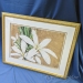 "Star of Bethlehem" by Larisa Deckled Edges Framed Wall Art