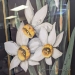 "Daffodil" by Larisa Deckled Edges Framed Wall Art