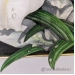 "White Lillies" by Larisa Deckled Edges Framed Wall Art