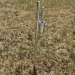 20" Swivel Mount Spike Base for Display Flags