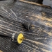Challenge JF Electric 1-Spindle Floorstanding Paper Drill