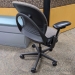 Steelcase Leap V1 Wide Leaf Pattern Ergonomic Task Chair