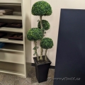 Artificial Boxwood Silk Plant in Tall Black Vase