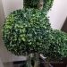 Artificial Boxwood Silk Plant in Tall Black Vase