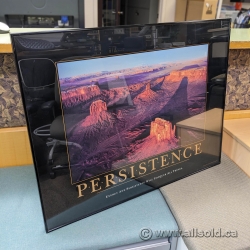 Successories Framed Art Print w/ Glass "Persistence"