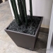 Silk Plant w/ Brown Pot 90" H