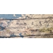 Map of the World Wall Art Canvas 60" x 30"