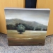 Set of 4 Canvas Wall Art "Fields" by Henry