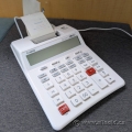 Canon P23-DHV G 12-Digit Two-Color Printing Calculator
