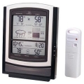 ACU-RITE Wireless Weather Station 