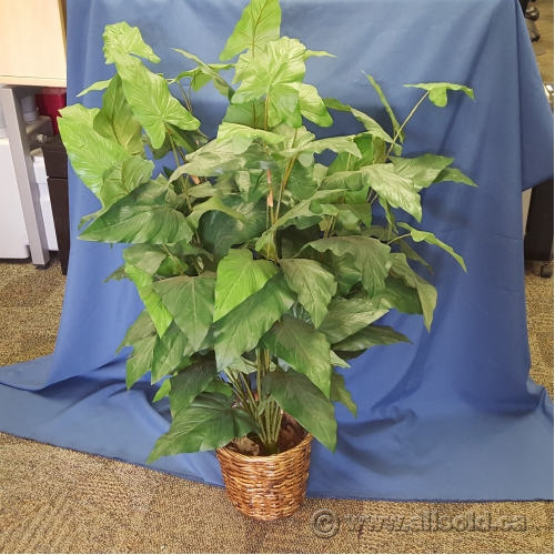 Round Pot Silk Plant Allsold.ca Buy & Sell Used Office Furniture