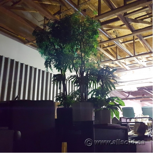 Assorted Silk Plants w/ Various Styles of Plant Pot Allsold.ca Buy