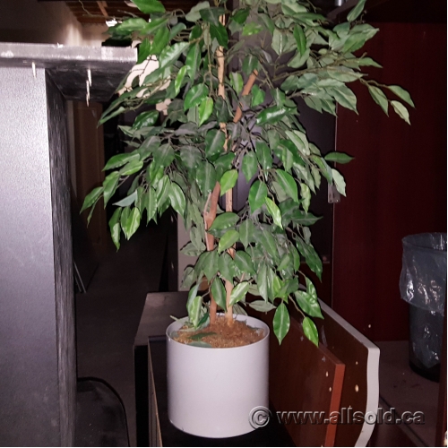 Assorted Silk Plants w/ Various Styles of Plant Pot Allsold.ca Buy