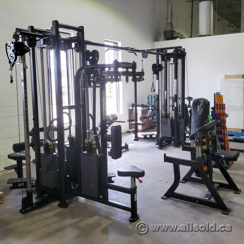 Atlantis Strength MS-319 Standard 8 Stack Multi-Station - Allsold.ca