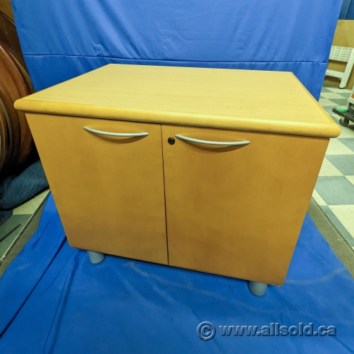 Artopex 2 Door Data Storage w/ Rear Access, Keys Allsold.ca