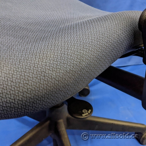 Steelcase Leap V2 Blue Adjustable Ergonomic Task Chair Allsold.ca