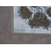 Bev Doolittle Walk Softly Paw Print Picture 34810/40192