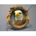 Bald Eagle Collective Plate