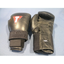 Title Boxing Gloves