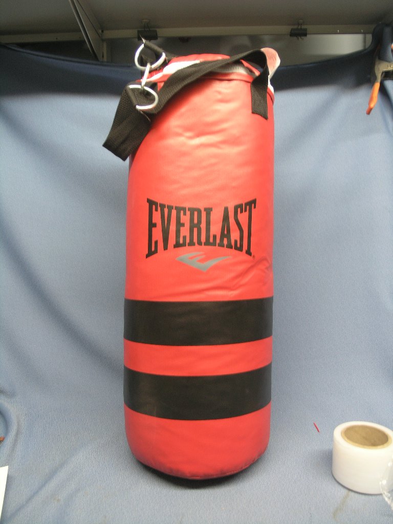 Everlast kids store punching bag