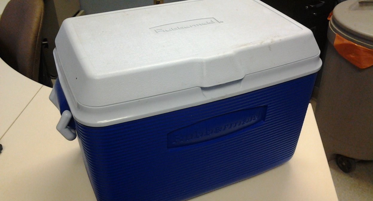 Rubbermaid 20 quart hotsell cooler