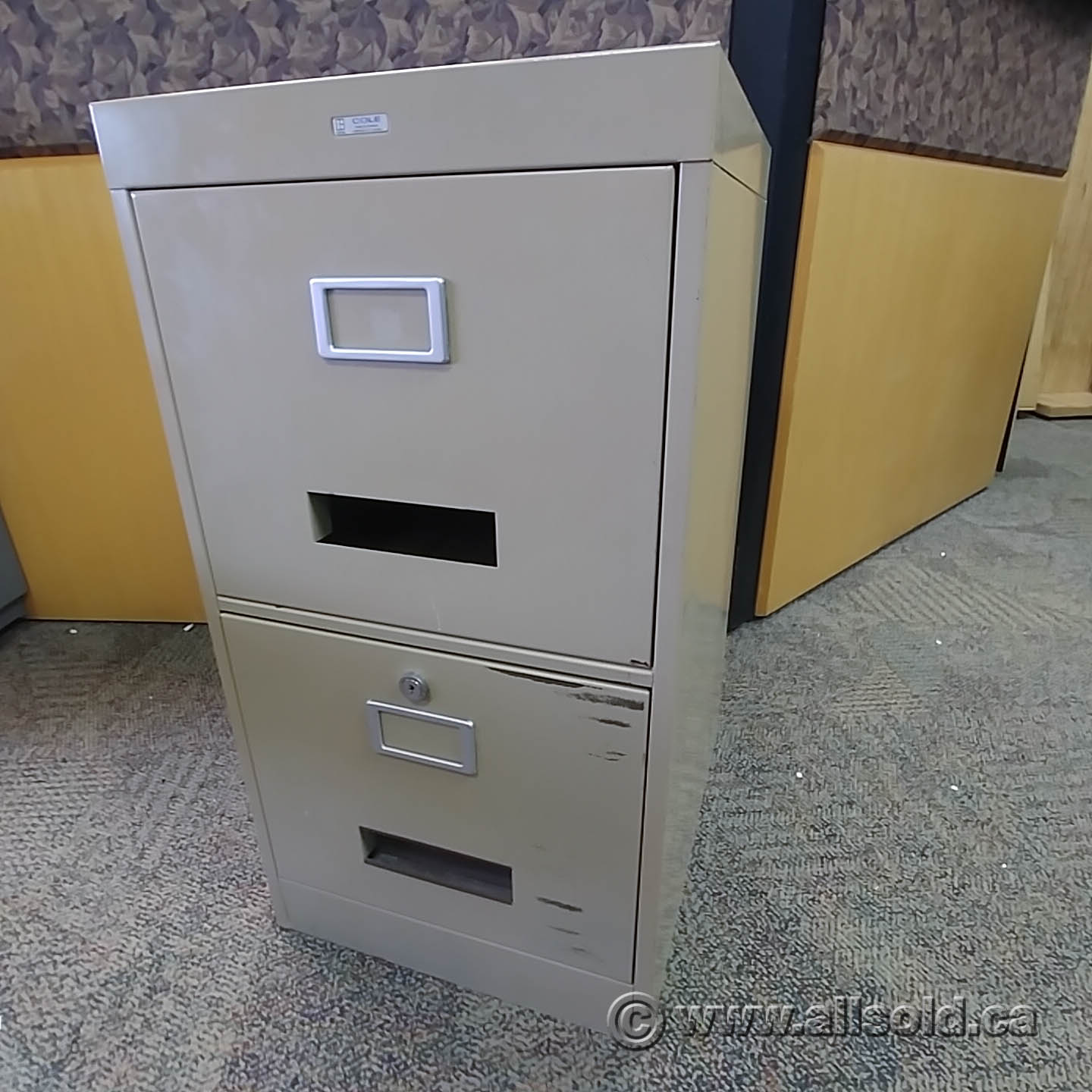 Cole Beige 2 Drawer Vertical File Cabinet Pedestal SND Allsold