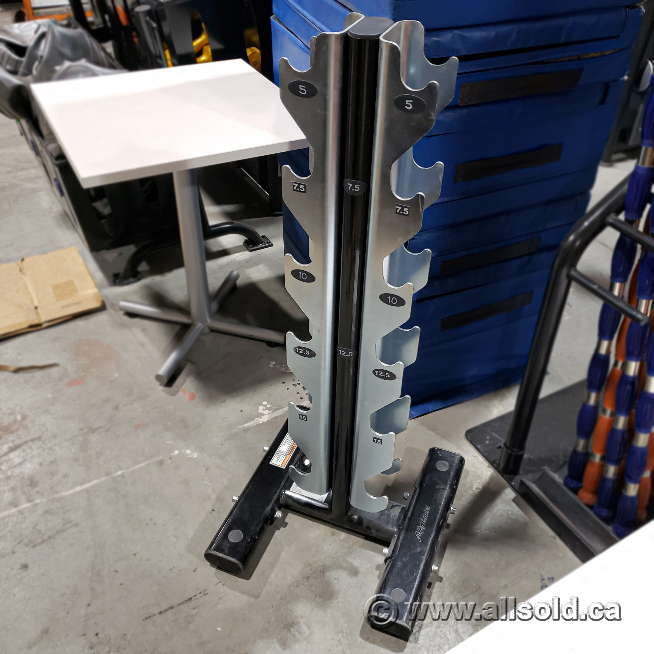 Dumbbell rack online calgary